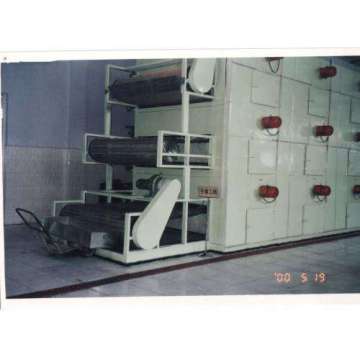 Pleurotus eryngii Laccase Mesh Belt Drying Machine