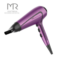 Anion 1800W Portable Rotate Hair dryer Machine