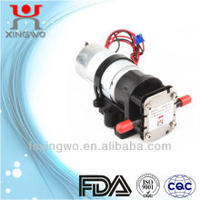 24V DC Mirco Pump Mini Gear Water Pump 2.0L/Min