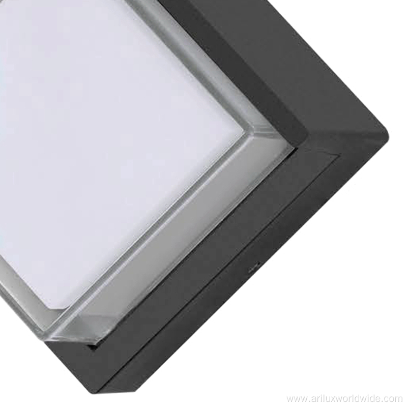 Factory direct 12w Outdoor Lights Wall