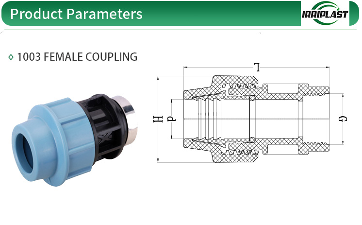 PN16 HDPE Quick Connector Female Adaptor PP Push Fittings