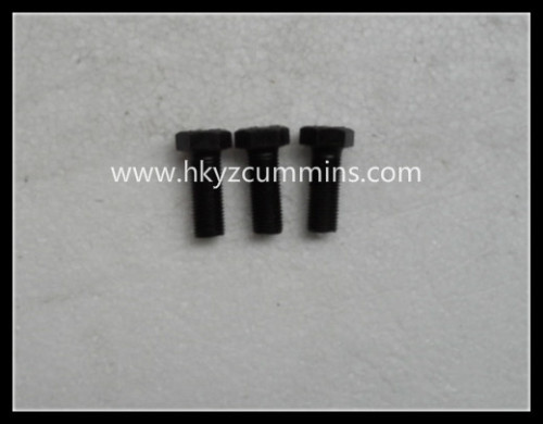 69793 for cmmins 69793 screw, hexagon head cap NTA855