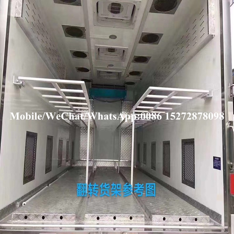 Carrier de pollitos isuzu (5) ISUZU Chick Carrier (5)