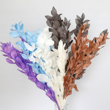 Wholesale Real Touch Preserved Ruscus Leaves for Bouquet Decoration