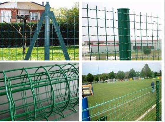 Galvanized steel wire and PVC coated Euro fence