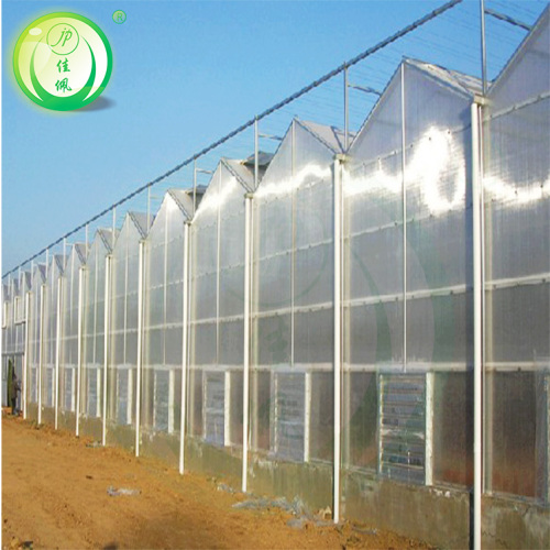 JP agriculture pc sheet greenhouse with smart modern control system for sale