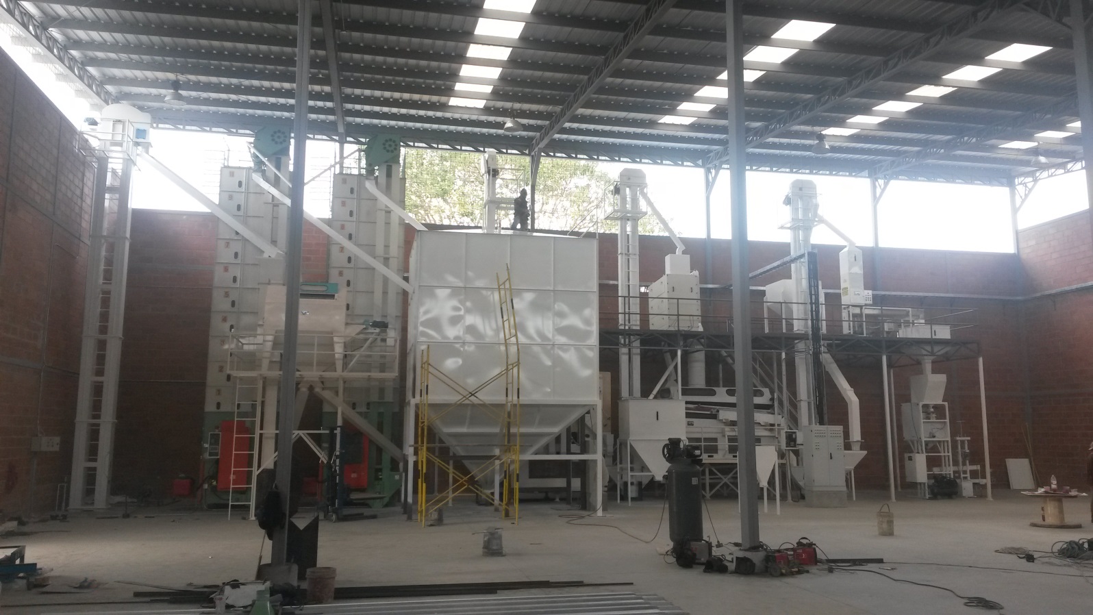 planta de processamento de sementes de arroz rice seed processing plant