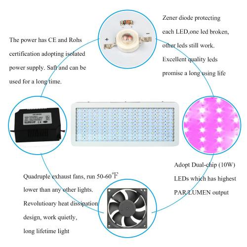 야채에 대 한 300W 식물 LED 성장 빛