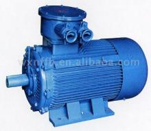 YBD series Motor