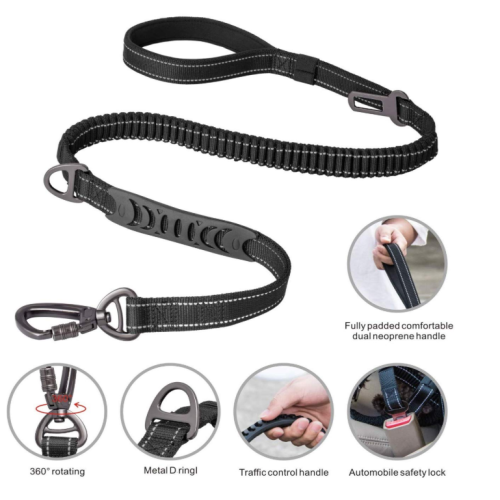 4-6ft bungee chien laisse