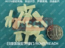 RCCN RIVET( plastic rivet, auto fastener)