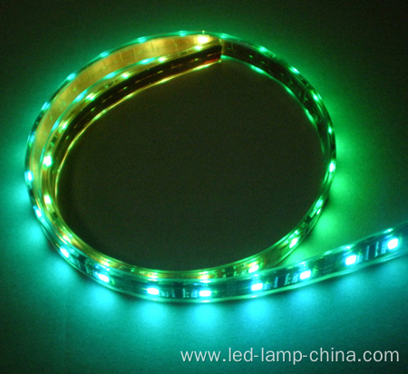 5050 RGBW/RGBWW/RGBCW LED Strip DC12V DC24V Available