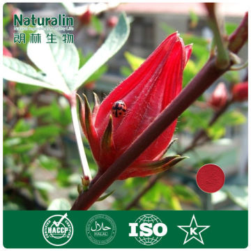 Roselle Extract