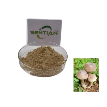 ahcc mushroom extract Active Hexose Correlated Compound ahcc