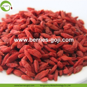 Pasokan Pabrik Sehat Jenis Herbal Goji