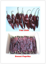 China Sweet Paprika, Yidu Chilli, Jinta Chilli, American Red, Tianying Chilli, Bullet Chilli