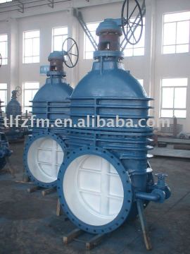 double disk gate valve