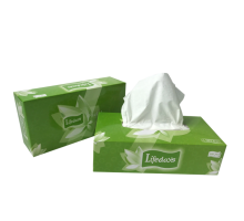 Convenient Pull-out Boxed Tissue