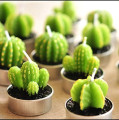 Groene cactus vorm kaars wax kunst kaarsen