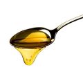 organic honey (polyflora) BCS certified