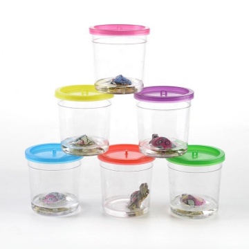 Quanlong Small Betta Fish Bowl & Turtle Tank