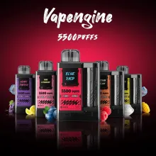 Wholesale Vape Juice 5500 Puffs Big Capacity ECig
