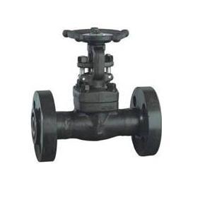 Forged Steel Integral Flanged Gate Valve