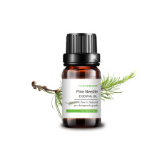 Bulk price wholesale private label pine needle essential oil