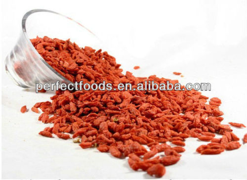 ningxia goji red medlar goji berry bulk purchase and chinese wolfberry