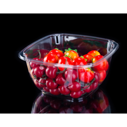 2LB Plastik-Blister-Tomaten-Verpackungsbehälter