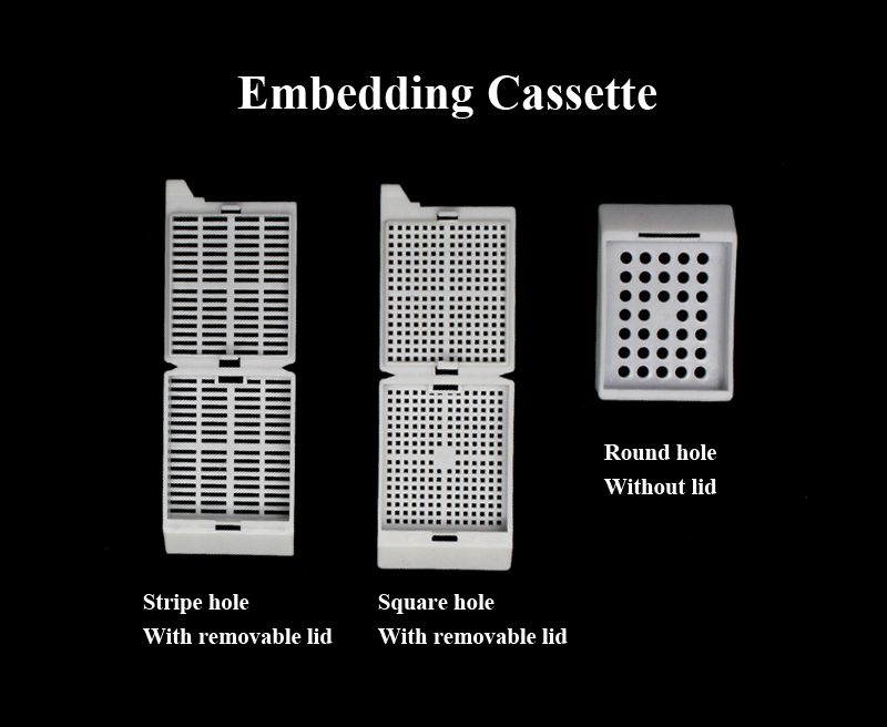 Lab Plastic Pathology Biopsy Specimen Square Embedding Cassette