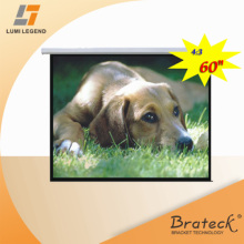 Electric Projection Screen?