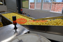 Lemon Orange Citrus Fruit Cleaning Washing Machine