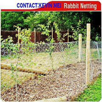 Garden Protection hexagonal netting mesh