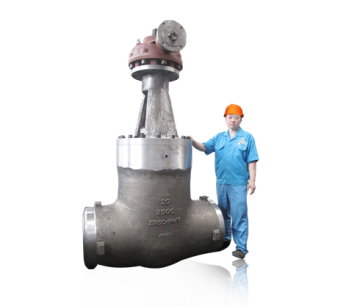 Gear operation globe valve