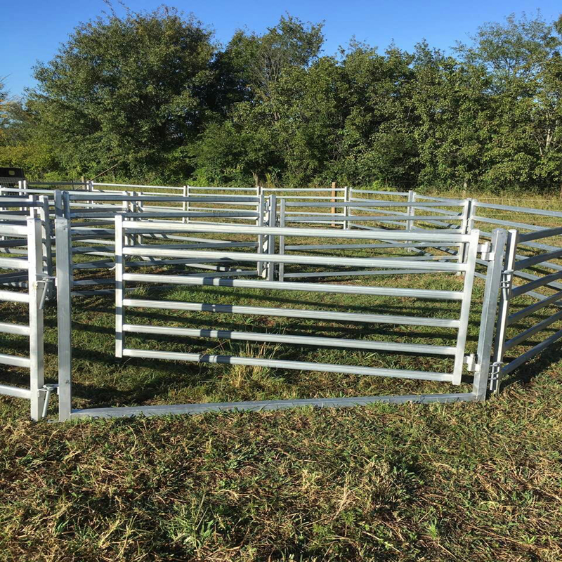 Heavy Duty Galvanized Cattle Yard Horse Fence Panel for Farm Livestock AS