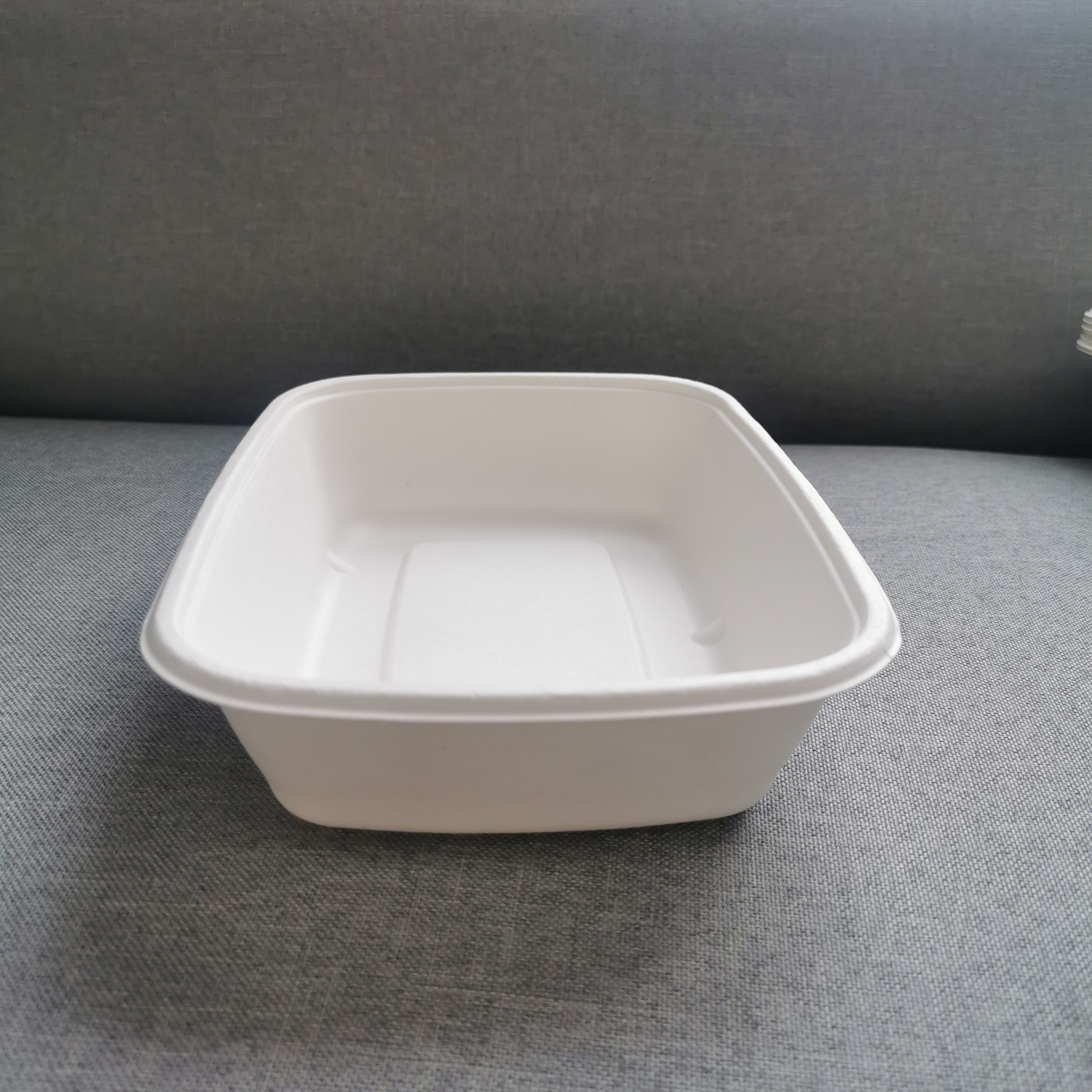 bagasse 8''x6'' food tray bagasse 8''x6'' food tray