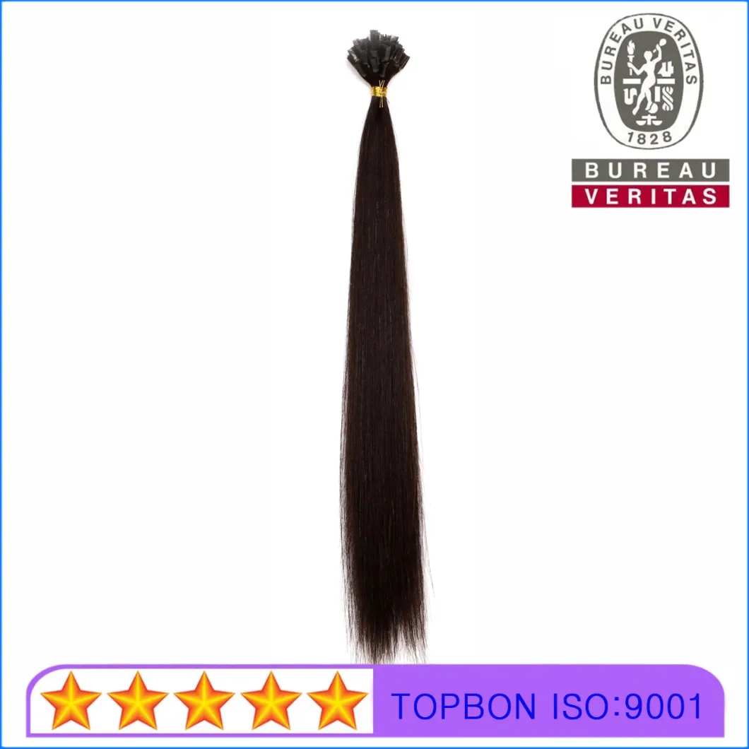 Silk Straight Natural Long 20inch Remy Human Virgin Hair Extension V Tip Hair