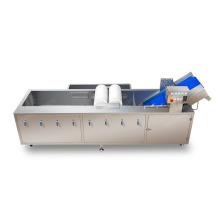 Fruit Vegetable Washer bell pepper Washing Machine