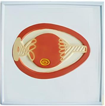 Egg construction relief model