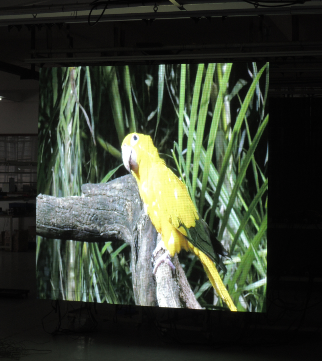 High definition of Indoor Flex Led Display Screens