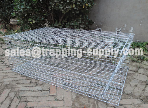 Double Door Galvanized Pigeon Cage Trap