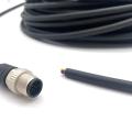 M12 Male straight connection cable 12pin black cable