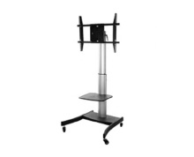 Mobile TV Stand