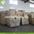 Factory Supply Fruit Gezonde Big Size Goji Berry