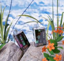 wholesale ELFWORLD TRANS PRO 9000 shipping