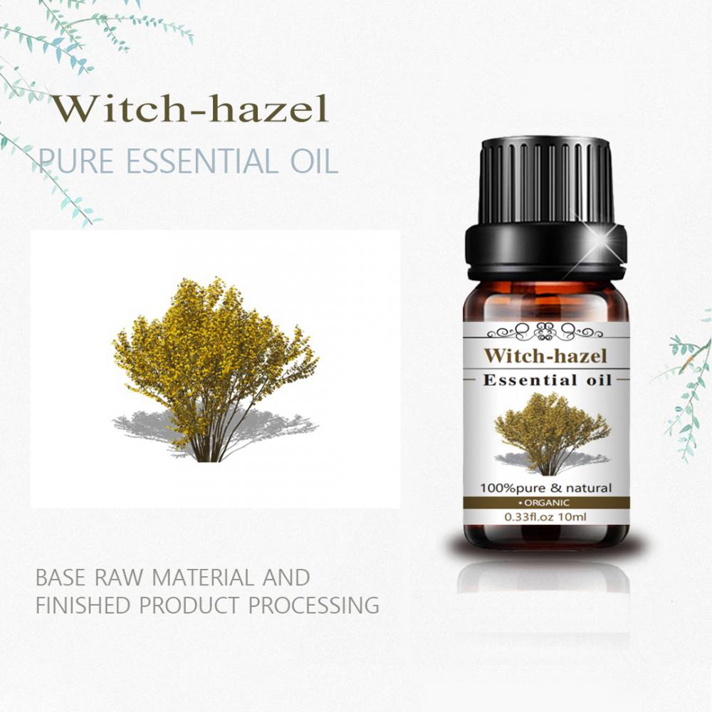 Pure Natural Organic Wholesale Witch-Hazel Oil for Massage Aromatherapy