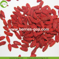 Factory Supply Gezonde fruitproducten Bulk Goji