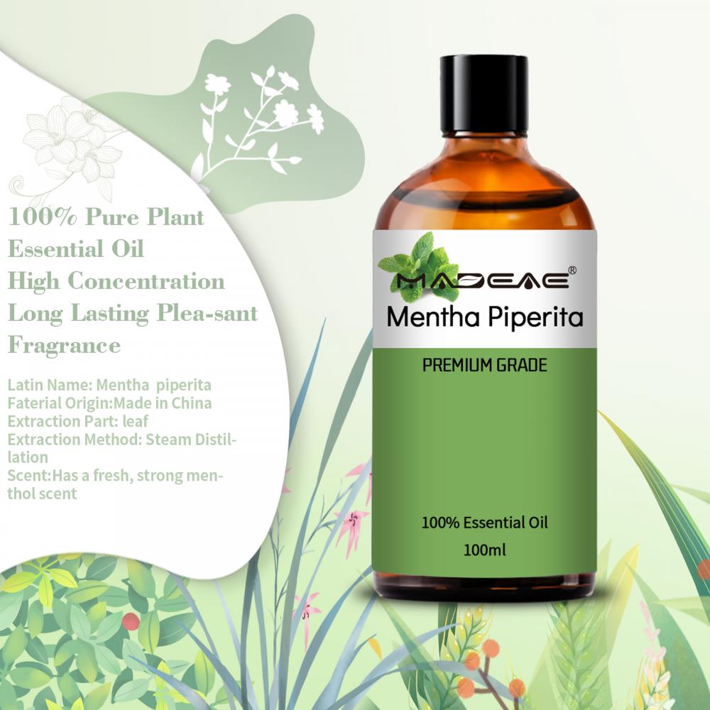 100% pur aliments biologiques Mentha piperita Huile pour la peau de cheveux