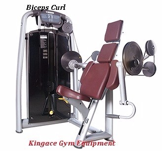 Fitness Equipment/Commercial Gym Equipment/Vertical Traction Machine